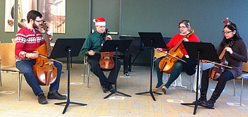 Academic music, Viola da gamba studies, University program, Musical education HD wallpaper