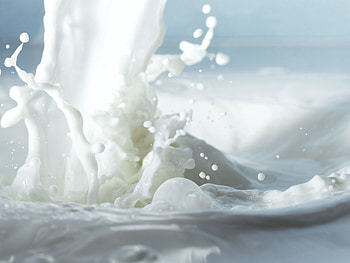Macro, Spray, Milk HD wallpaper