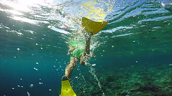 Snorkeling, Man with Yellow Fins, Coral Reef HD wallpaper