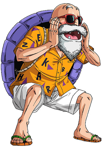 Master Roshi, Maestro Rochi, Goku's mentor, Dragon Ball character design HD phone wallpaper
