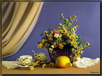 Still life, table, color, graphy, vase, beautiful, lace, arrangement, cups, abstract, fruit, flowers HD wallpaper