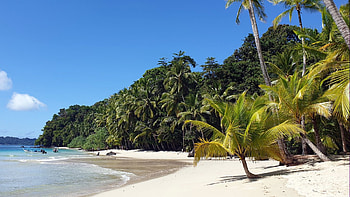 Providencia travel, Wanderlust adventure, Caribbean dream, Tropical escape HD wallpaper