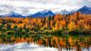 Landscape View Of Rock Mountains With Snow Colorful Autumn Trees Forest Under White Clouds Sky Reflection On Lake Nature HD wallpaper