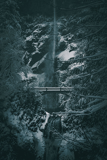Winter, Nature, Trees, Snow, Waterfall, Bridge HD phone wallpaper