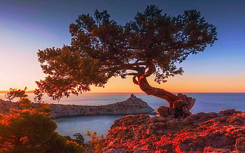 Dawn over the beach, sky, rocks, sea, fall, landscape, colors HD wallpaper