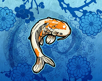 Koi, fish, ponds HD wallpaper