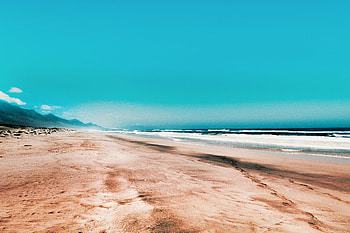 Seashore, clean, skyline, beach HD wallpaper