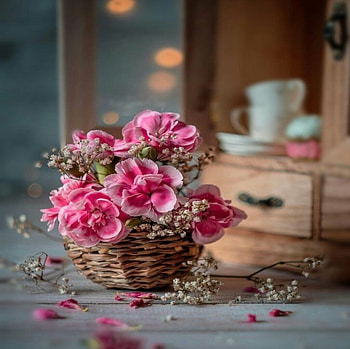 Beautiful flowers, Flowers, graphy, Pink, Basket HD wallpaper