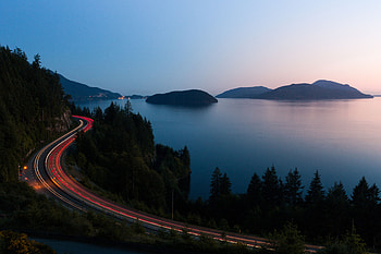 Nature, Trees, Sea, Shine, Light, Road, Turn HD wallpaper