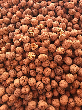 Food, Nuts, Brown, Fruit, Walnut HD phone wallpaper