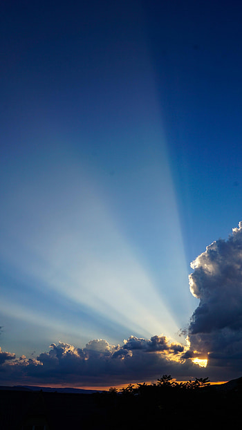 Nature, Sky, Clouds, Beams, Rays, Branches, Dahl, Distance HD phone wallpaper