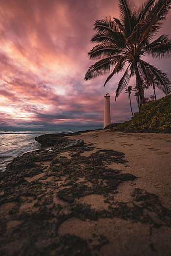 Nature, Sea, Beach, Shore, Bank, Palm, Lighthouse HD phone wallpaper
