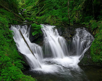Lower Gorton Creek Falls, falls, trees, water, rock HD wallpaper