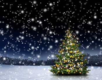 Christmas Tree, Forest, Nature, Night, Balls, Winter, Night nature, Christmas, Christmas balls, Snow, Holidays HD wallpaper