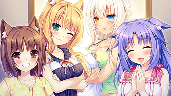 Nekopara, Azuki (Nekopara), Anime, Cinnamon (Nekopara), Coconut (Nekopara), Maple (Nekopara) HD wallpaper