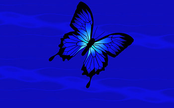 BLUE Blue blue, blue, wings, abstract, butterfly HD wallpaper