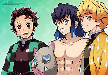 Tanjiro, Inosuke, and Zenitsu, Anime, Demon Slayer: Kimetsu no Yaiba, Tanjiro Kamado, Inosuke Hashibira, Zenitsu Agatsuma HD wallpaper