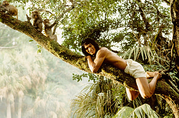 Mowgli, Jason Scott Lee, The Jungle Book 1994, Fanpop HD wallpaper