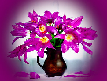 Bouquet of fresh purple flowers, bouquet, vase, fresh, nice, purple, still life, pretty, flowers, lovely HD wallpaper