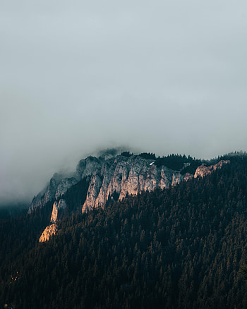 Nature, Clouds, Mountain, Vertex, Top, Forest HD phone wallpaper