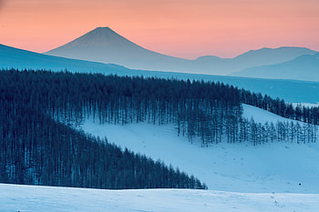 Winter Wonderland Ultra Bliss, winter, snow, nature HD wallpaper