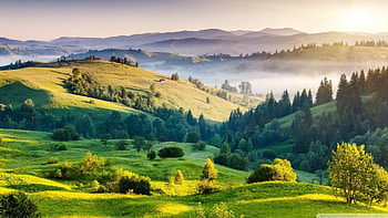 Beauty of nature, Hills, Fields, Mist, Trees HD wallpaper