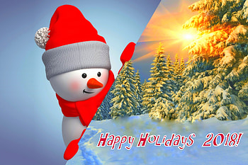Happy Holidays, winter, holidays, New Year, winter holidays, attractions in dreams, forests, 2018, sunrise, snowman, love four seasons, Christmas Tree, Christmas, snow, xmas and new year HD wallpaper