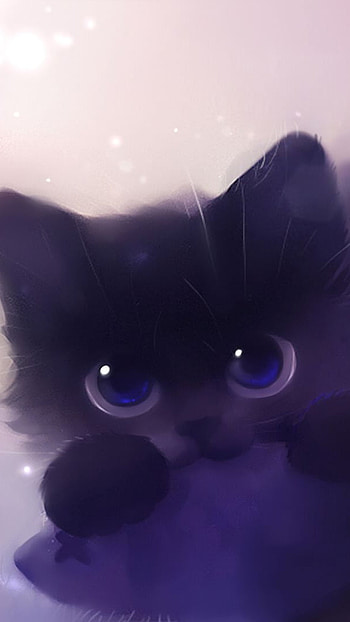 Baby cat face, , cat HD phone wallpaper