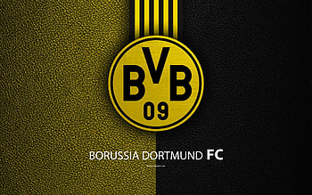 Bundesliga, Football match, Fan support, Stadium atmosphere HD wallpaper