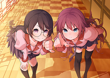 Anime Monogatari Series Hitagi Senjogahara Tsubasa Hanekawa, monogatari, anime-girl, anime HD wallpaper