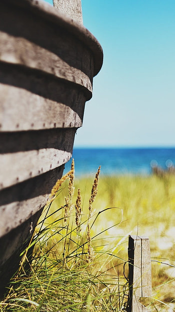 Cute Summer, Beach Fence HD phone wallpaper