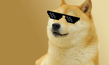 B.SCB : Doge, by Alan Geib HD wallpaper
