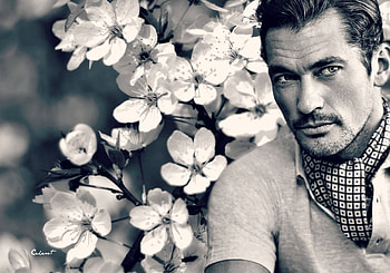 David Gandy, white, black, model, man, spring, white by cehenot, flower, sakura HD wallpaper