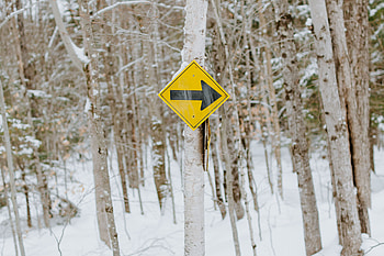 Winter, Miscellanea, Miscellaneous, Wood, Forest, Tree, Pointer, Sign HD wallpaper