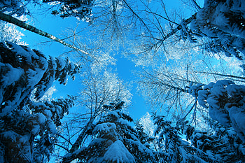 winter HD wallpaper