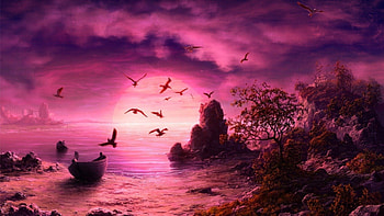PRETTY IN PINK, PRETTY, SUNSET, NATURE, PINK HD wallpaper