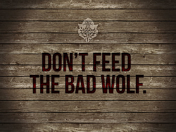 Dont feed the bad wolf, texture, , bad, fun, dont feed the, wolf HD wallpaper