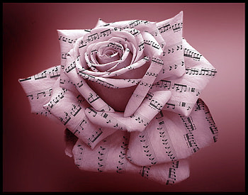 Music_Rose, rose, music, 3d, flower HD wallpaper