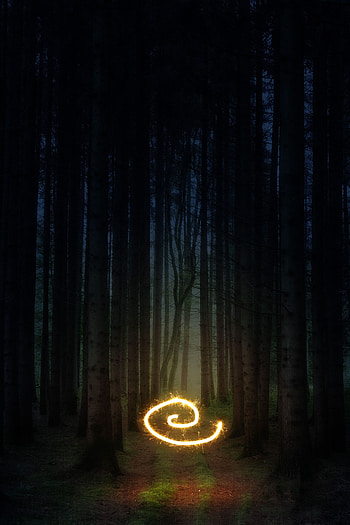 Dark, Shine, Light, Miscellanea, Miscellaneous, Forest, Spiral, Illusion HD phone wallpaper