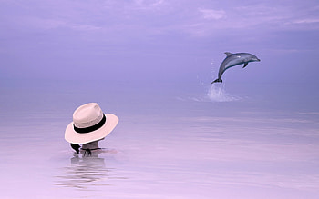 The dolphin, sea, girl, dolphin, woman, summer, pink, fantasy, luminos, water, vara, hat, lilac HD wallpaper