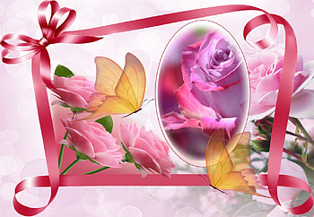 Pretty ribbons, butterflies, pink, design, abstract, roses, ribbons HD wallpaper