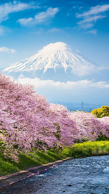 Japan , Explore the beauty HD phone wallpaper
