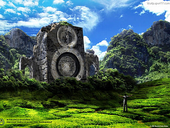 sound of nature, nature, silence, greenness HD wallpaper