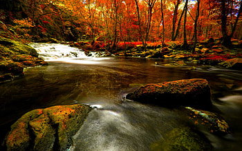 FOREST RIVER FLOW, falls, river, autumn, rock HD wallpaper