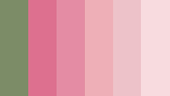Color Palette, Pink and sage, Wedding color scheme, Fab mood inspiration HD wallpaper