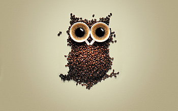 Funny, Animals, Art, Owl, Coffee HD wallpaper