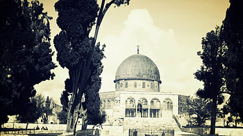 Jerusalem 2020, Broken Panda HD wallpaper