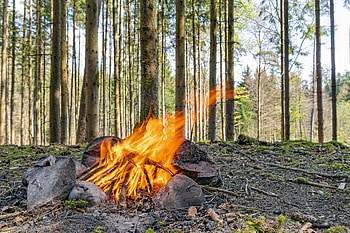 Trees, Bonfire, Flame, Miscellanea, Miscellaneous, Forest, Firewood, Camping, Campsite HD wallpaper