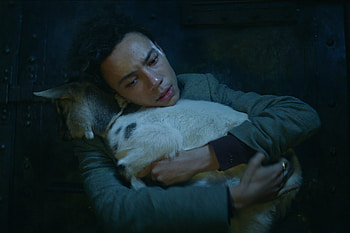 Jesper and Milo, Shadow and Bone HD wallpaper