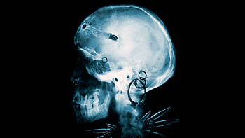 GIRL WHO KICKED THE HORNETS NEST x-ray skull skulls dark horror . HD wallpaper